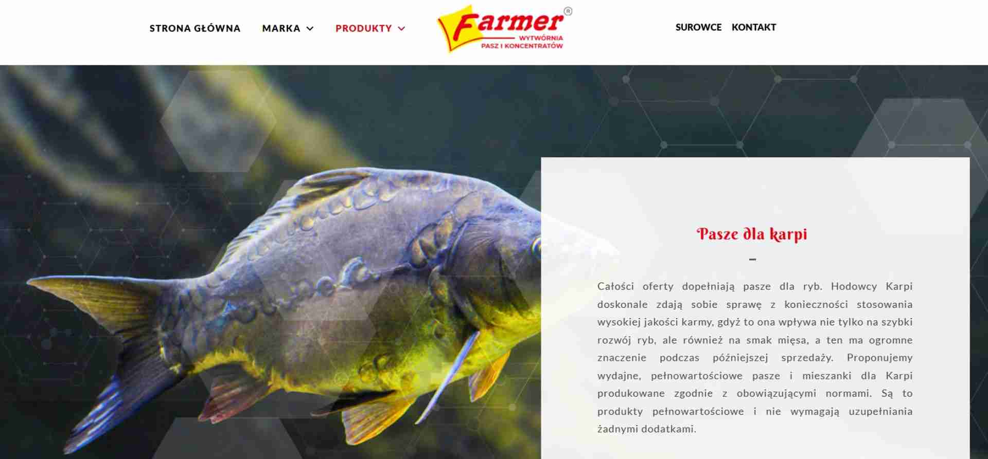 Farmer - pasze