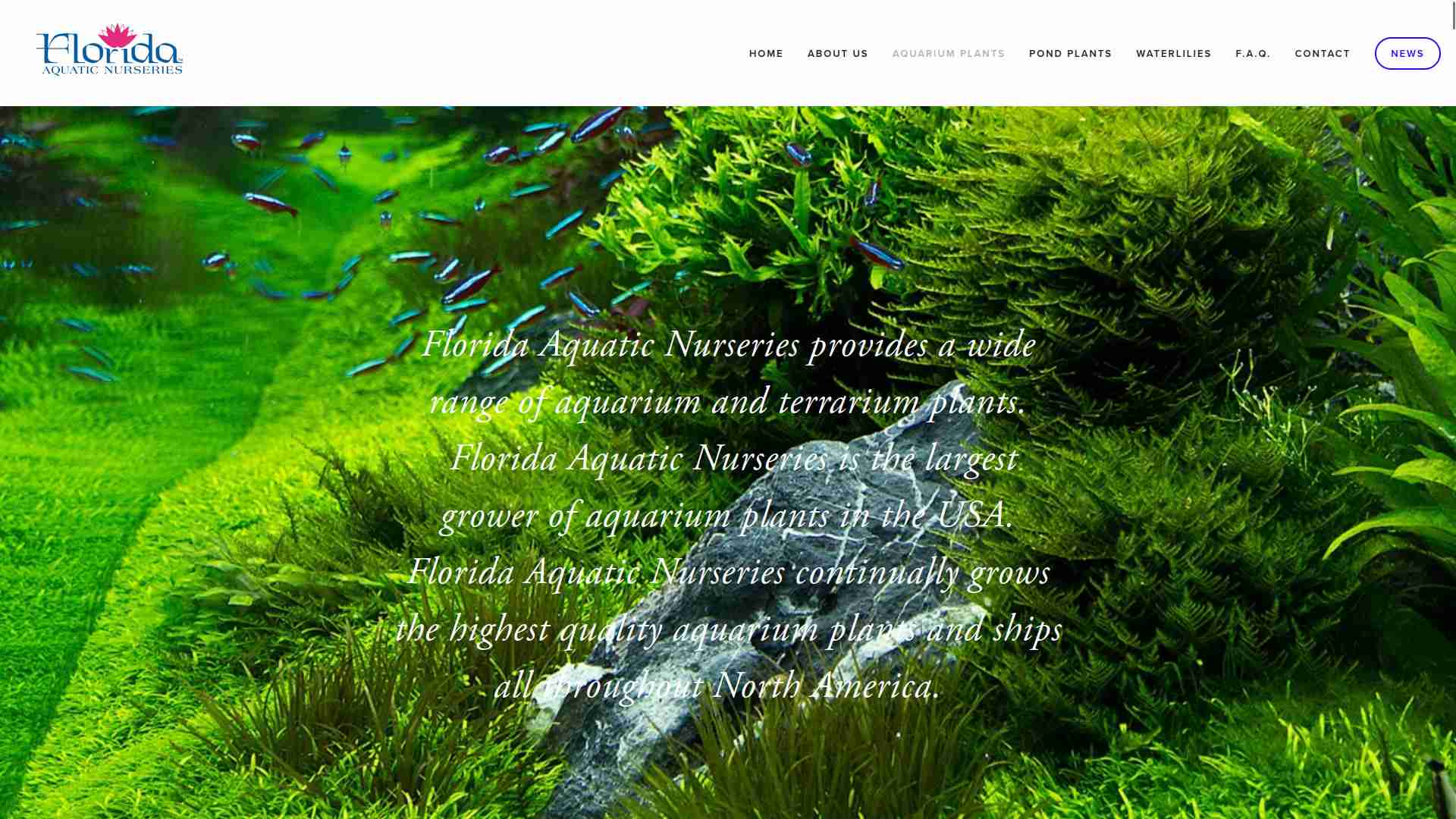Florida Aquatic Nurseries