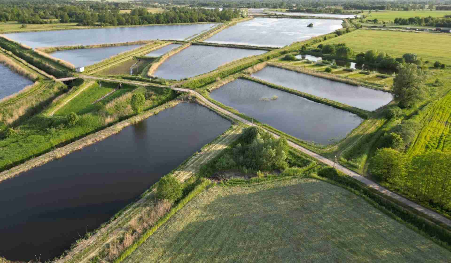 Gospodarstwo rybackie Jadów