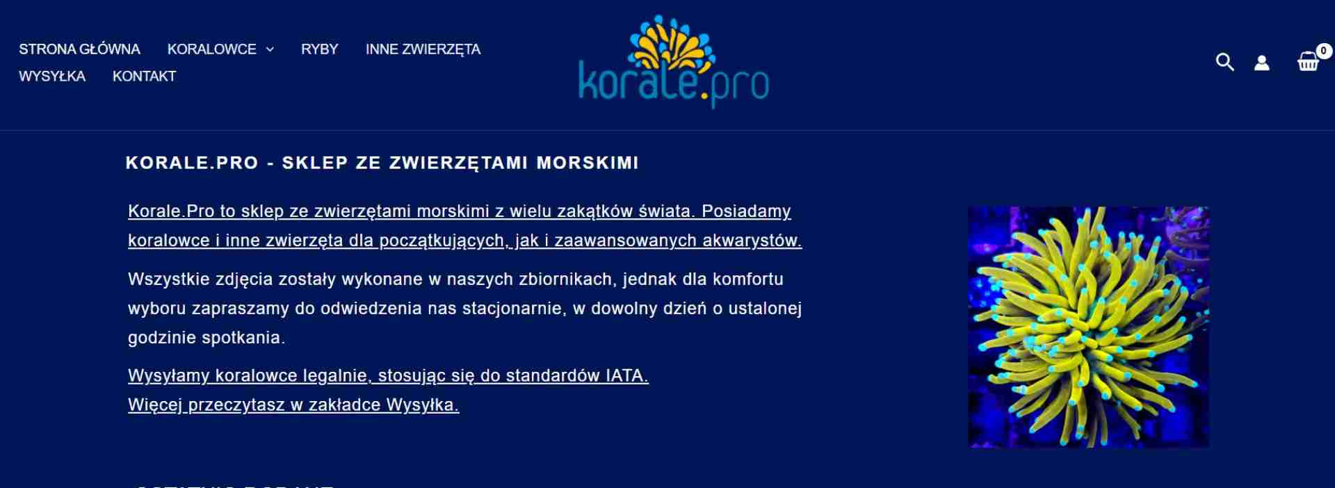 KORALE.PRO