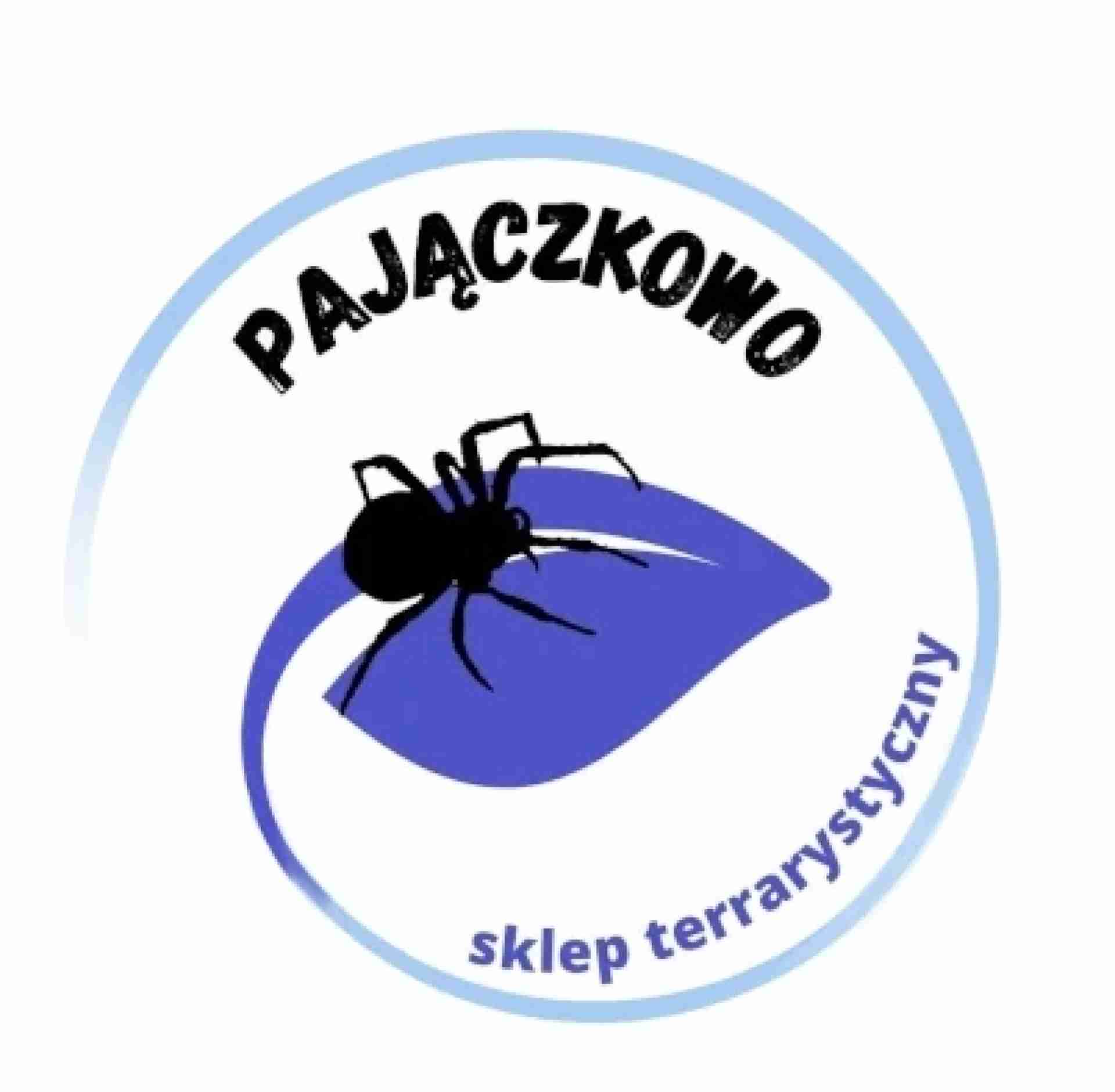 PAJĄCZKOWO