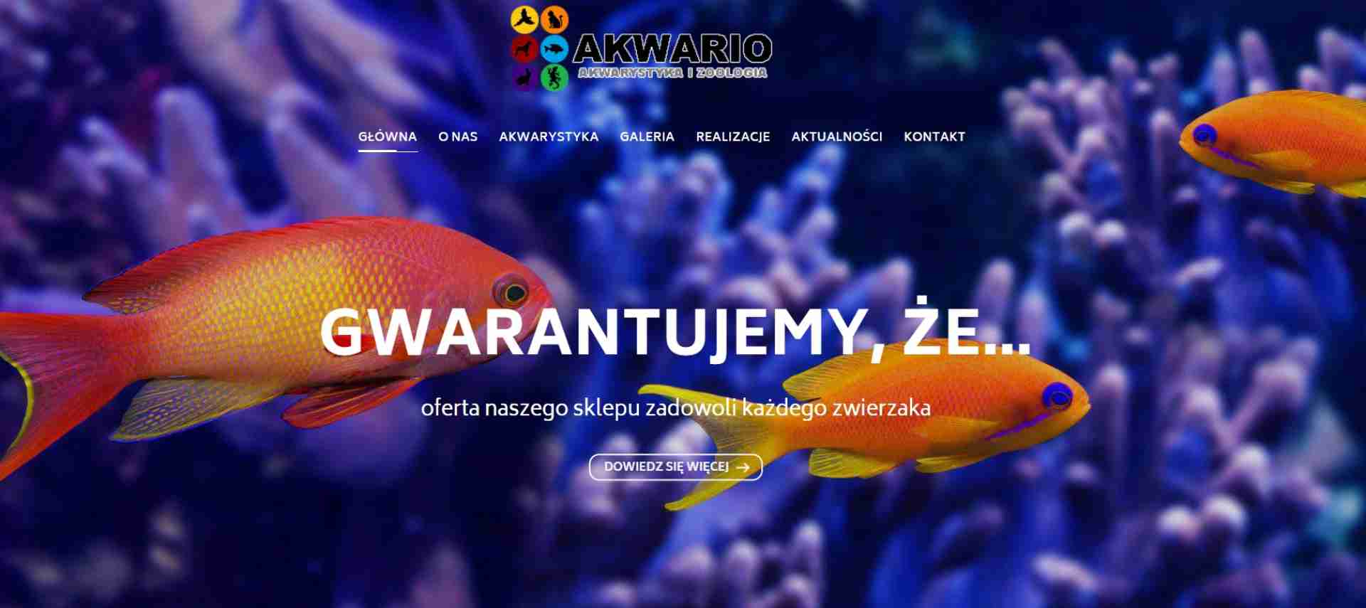AKWARIO