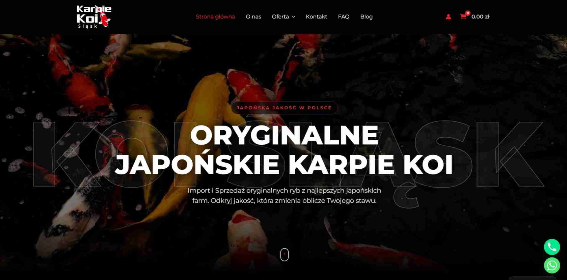 Karpie Koi Śląsk
