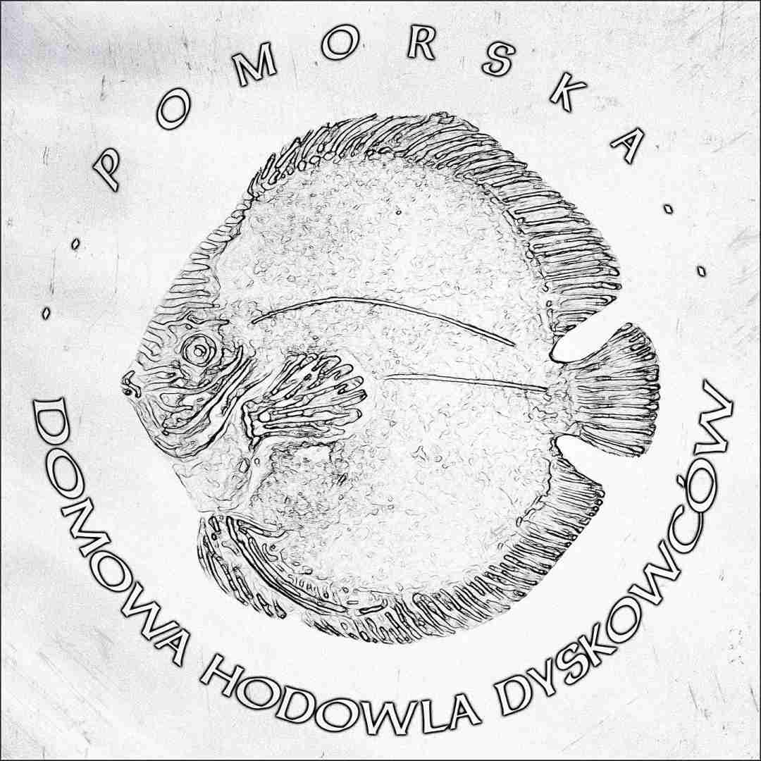 Pomorska Hodowla Dyskowców - Gościcino Andrzej Bornowski