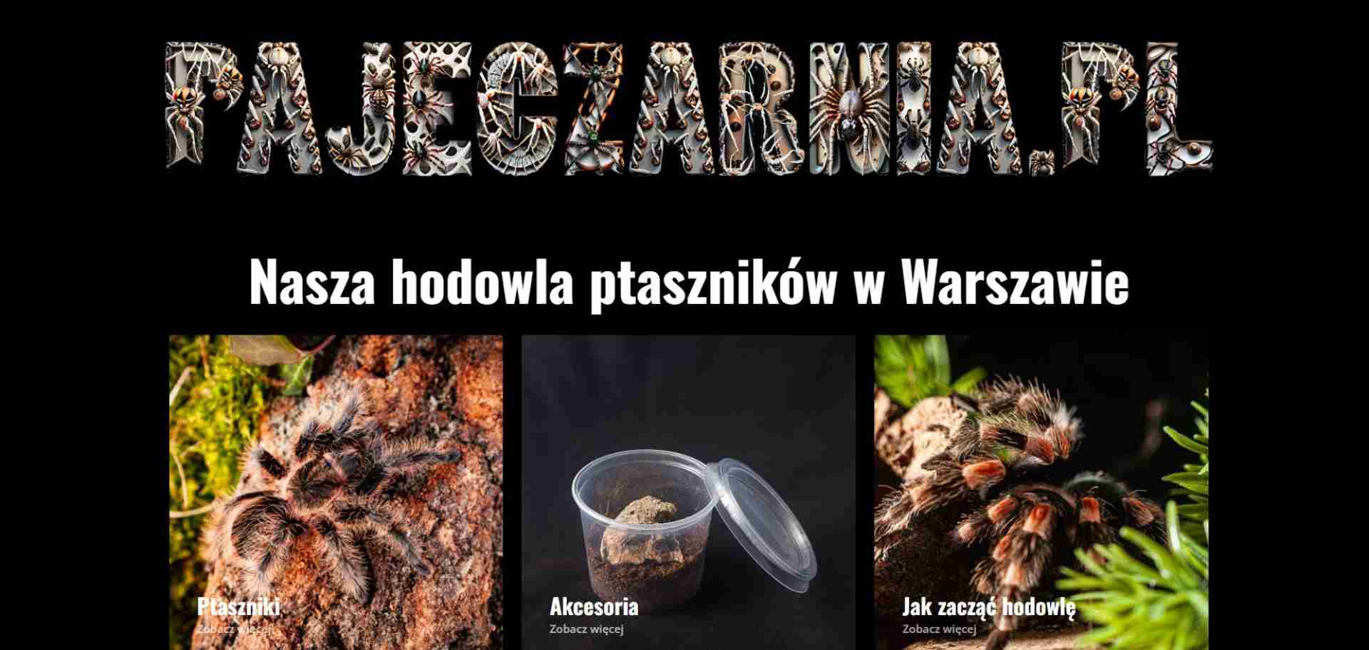 PAJĘCZARNIA