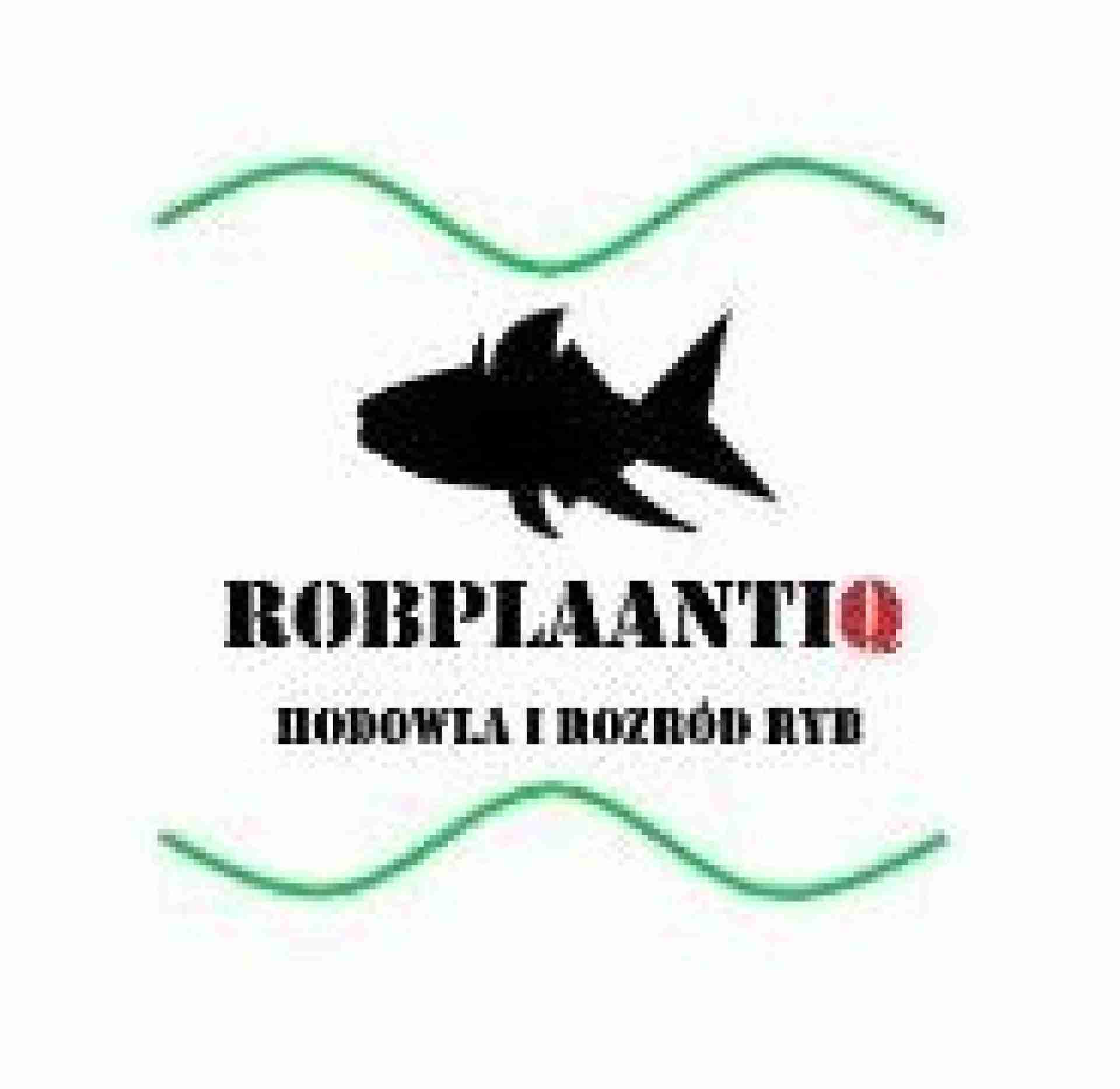 Hodowla i rozród ryb "Robplaantiq"