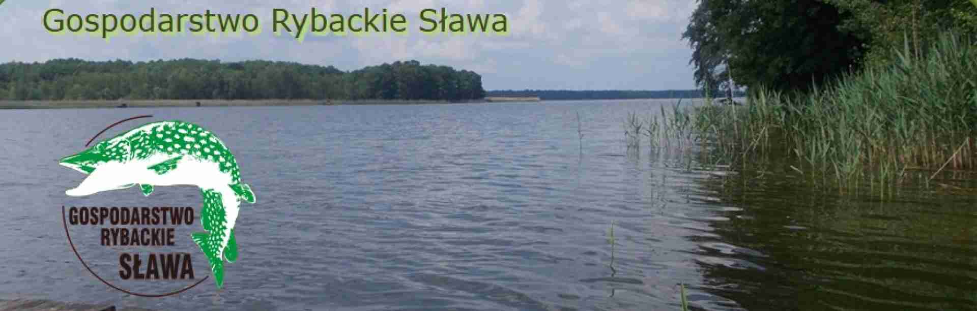 Gospodarstwo rybackie Sława