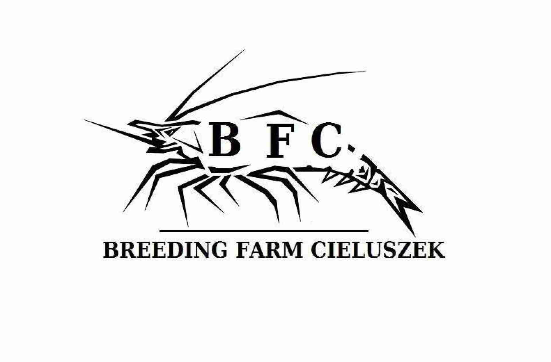 BREEDING FARM CIELUSZEK - BORZOO - gospodarstwo rolne