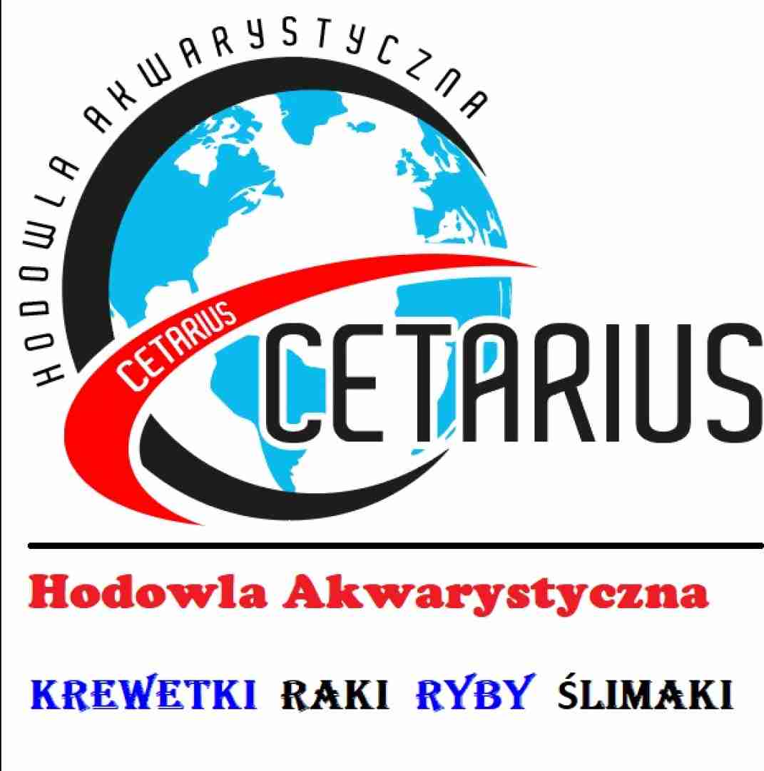 Hodowla akwarystyczna " Cetarius "