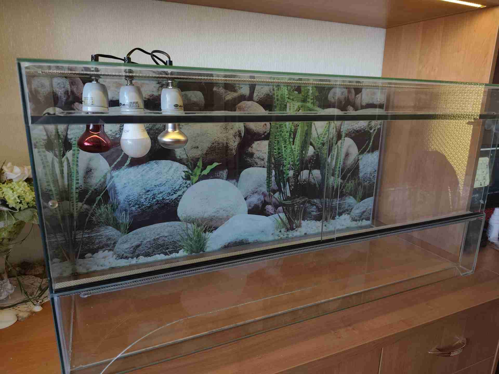 Terrarium szklane 100×40×50 cm + wyposażenie | Poznań