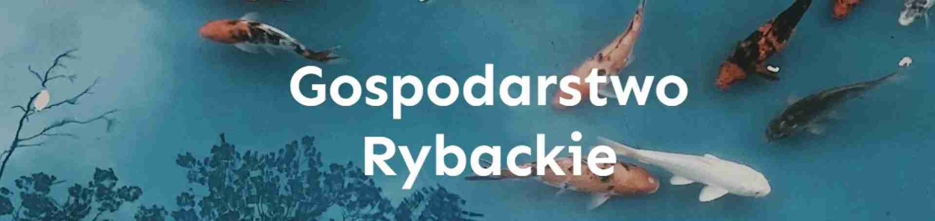 Gospodarstwo rybackie Mateusz Kozak