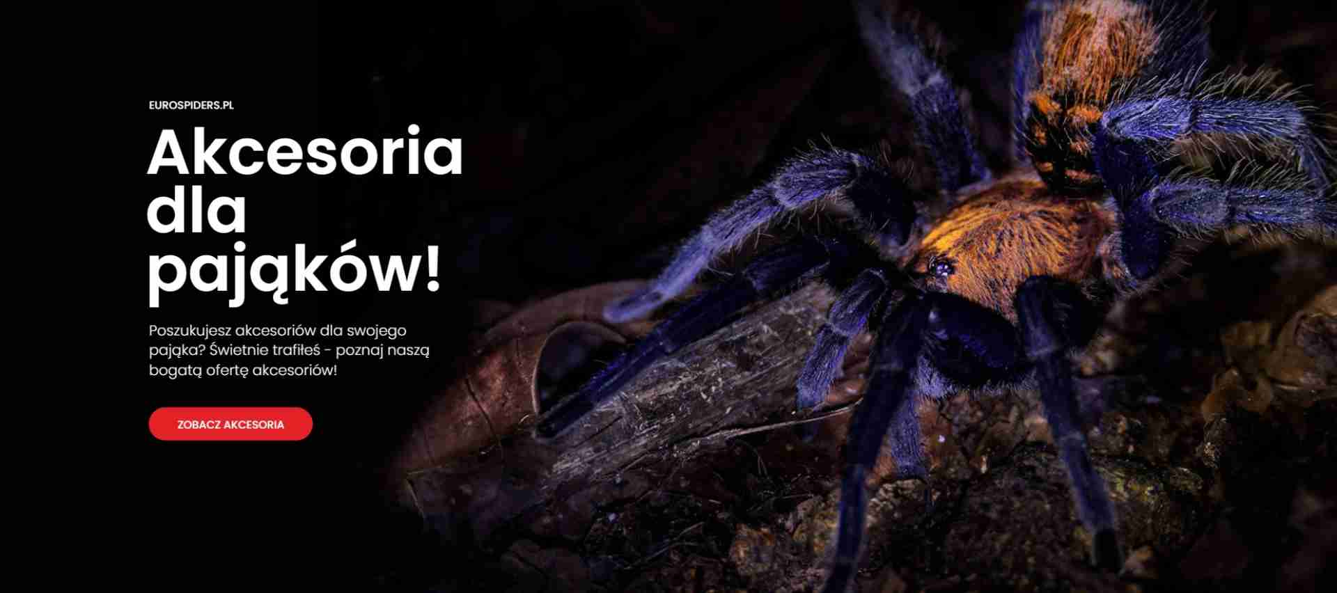 Euro Spiders