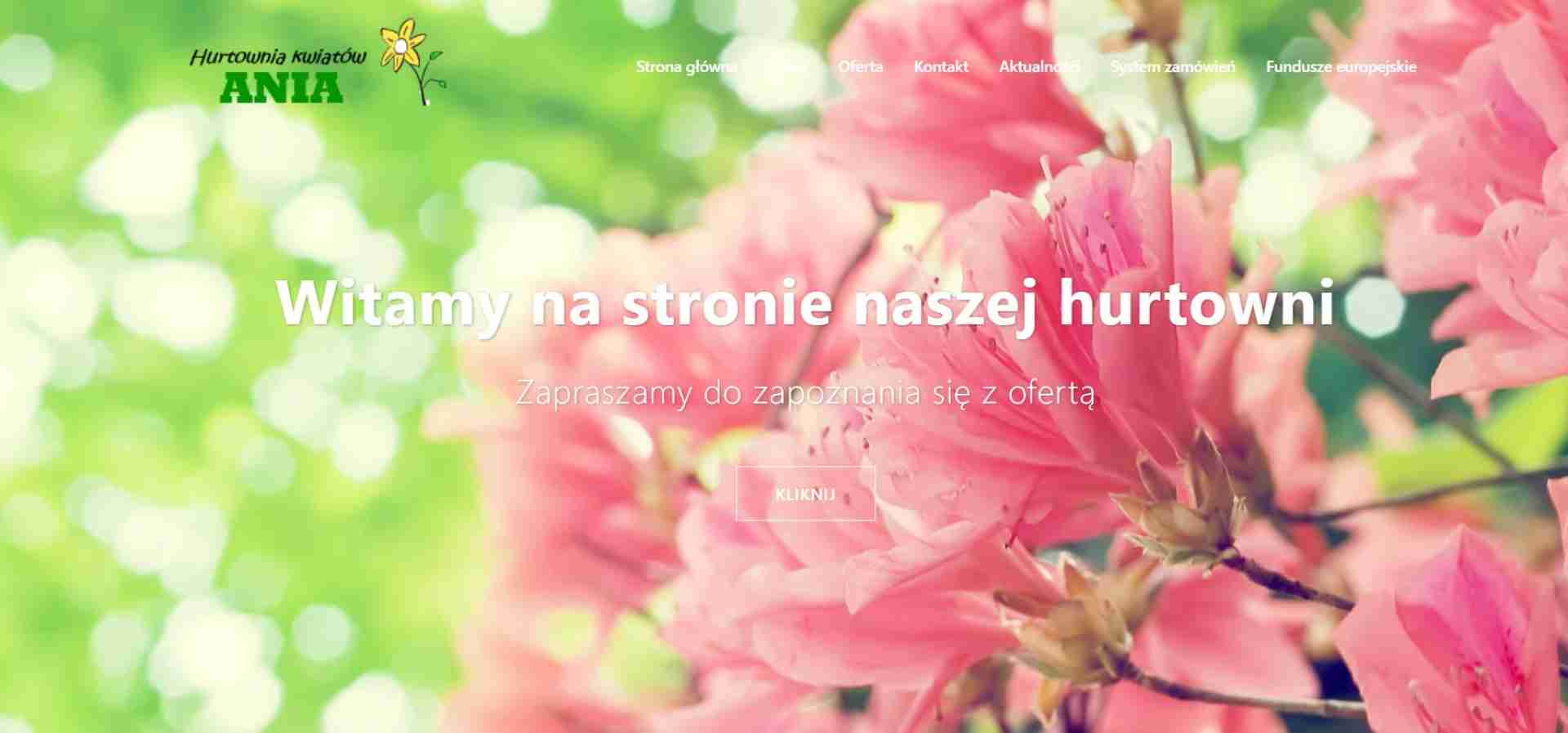HURTOWNIA ANIA