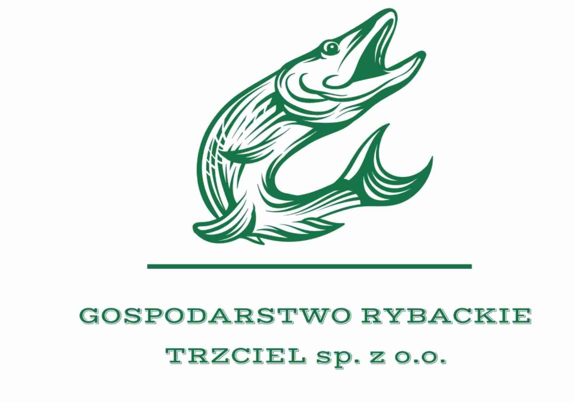 Gospodarstwo rybackie Trzciel