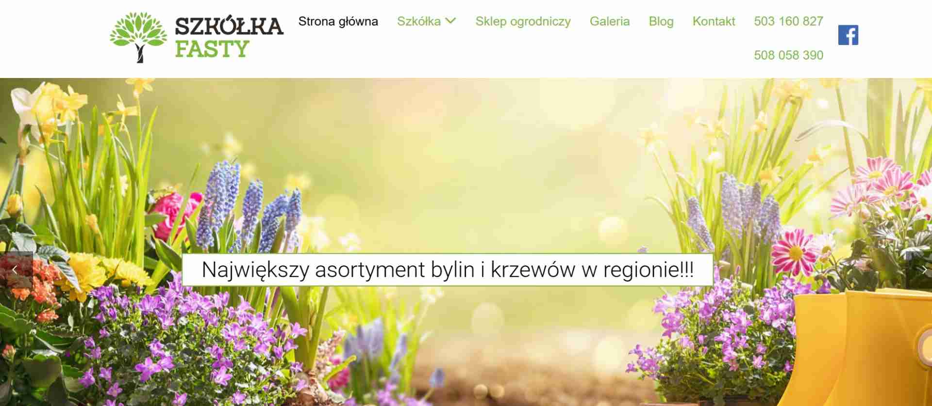 SZKÓŁKA FASTY