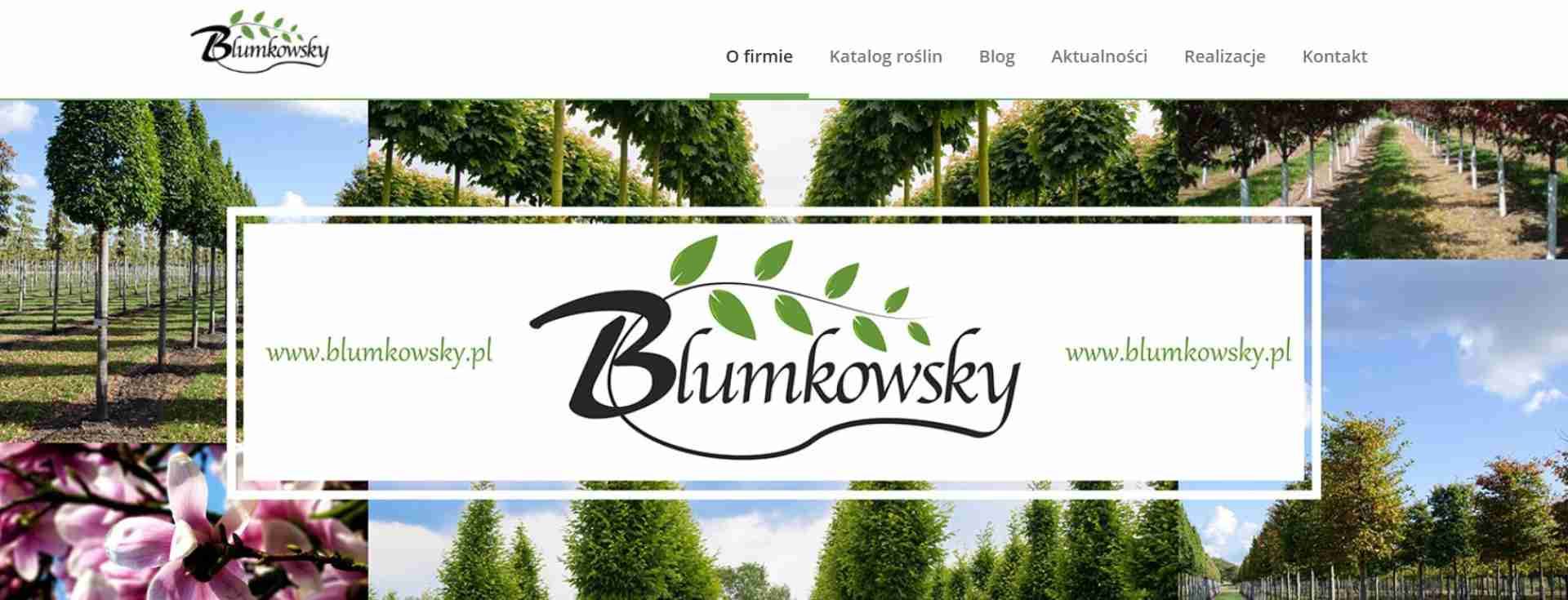 Szkółka BLUMKOWSKY – Producent Drzew Alejowych oraz Gotowych Żywopłotów
